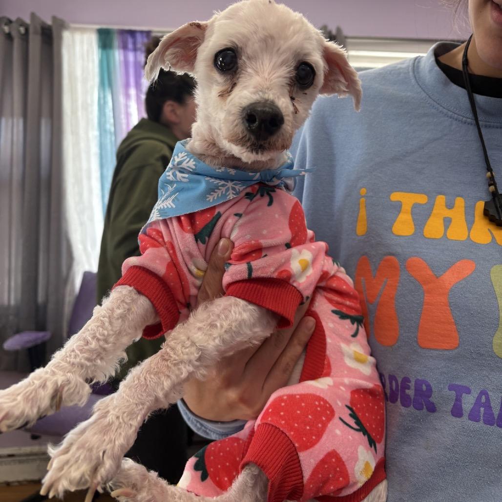 Precious — thumbnail 2