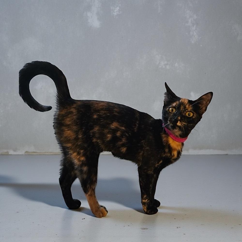 Deborah — thumbnail 4