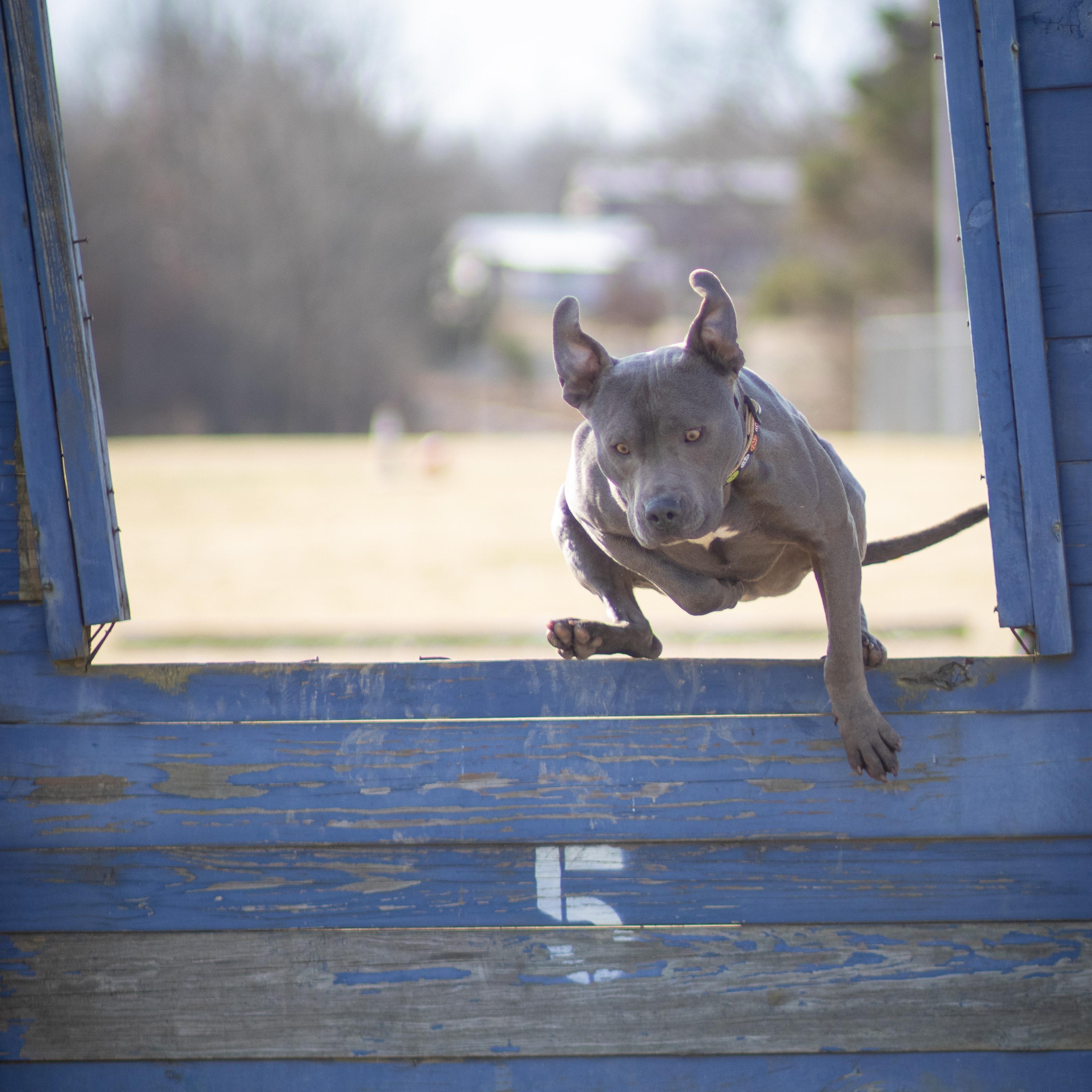 Gumbo photo 5