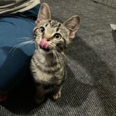 Copper