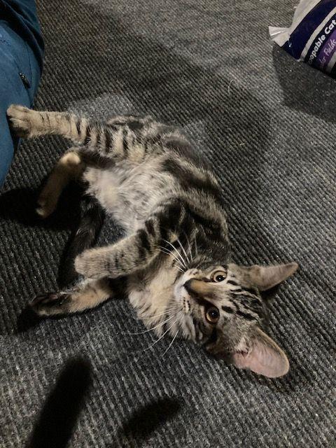 Copper