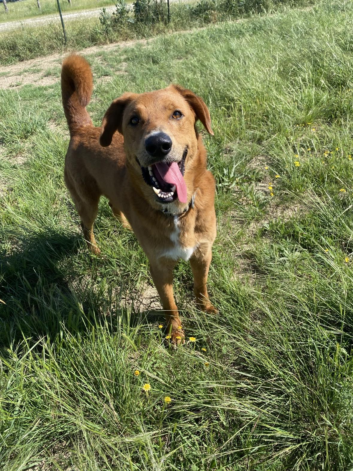 Big red — thumbnail 6