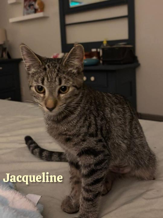Jacqueline