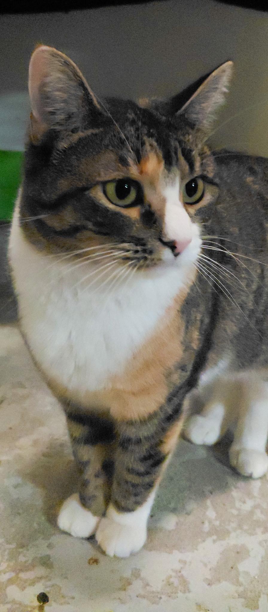 Stormie photo