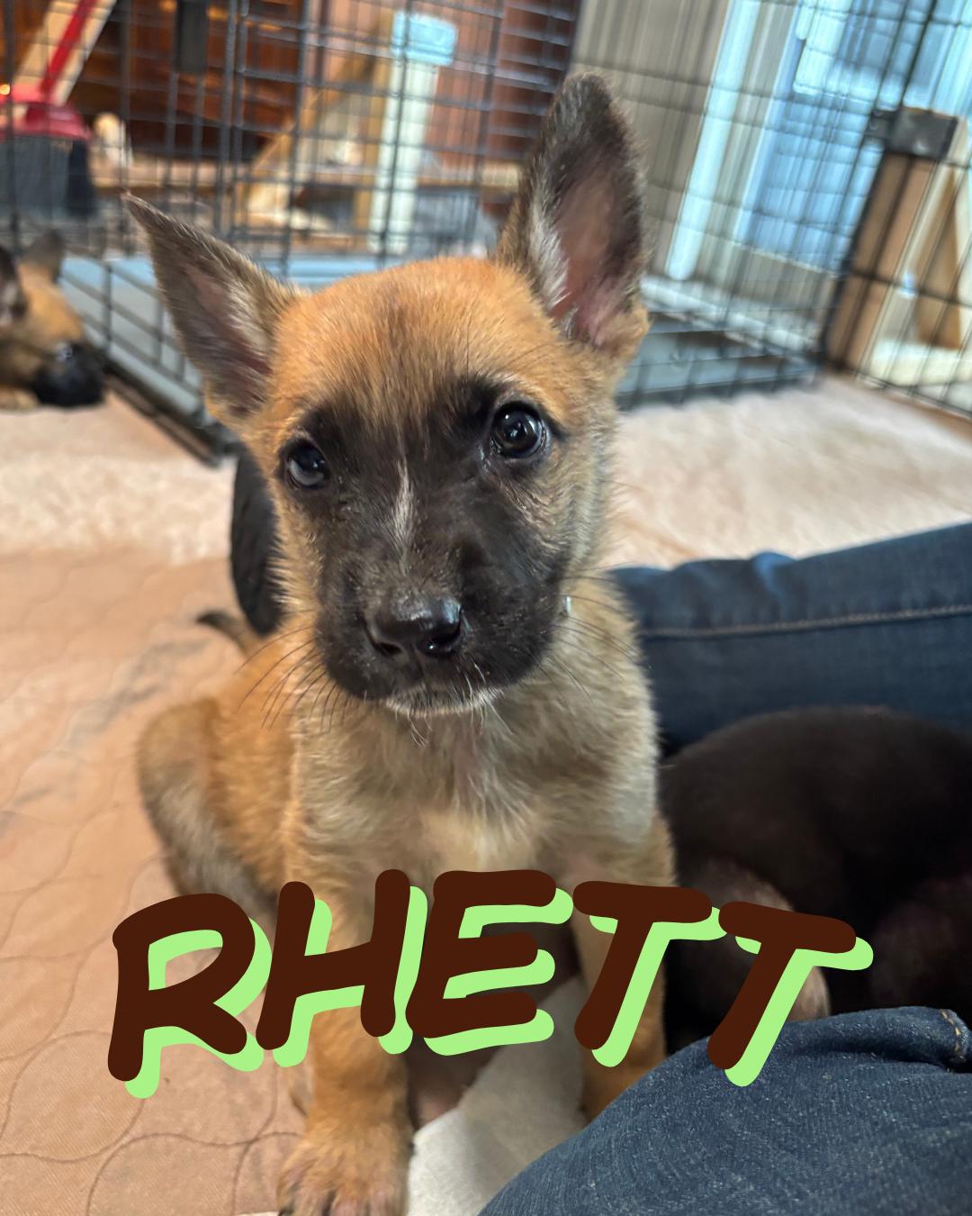 Rhett photo