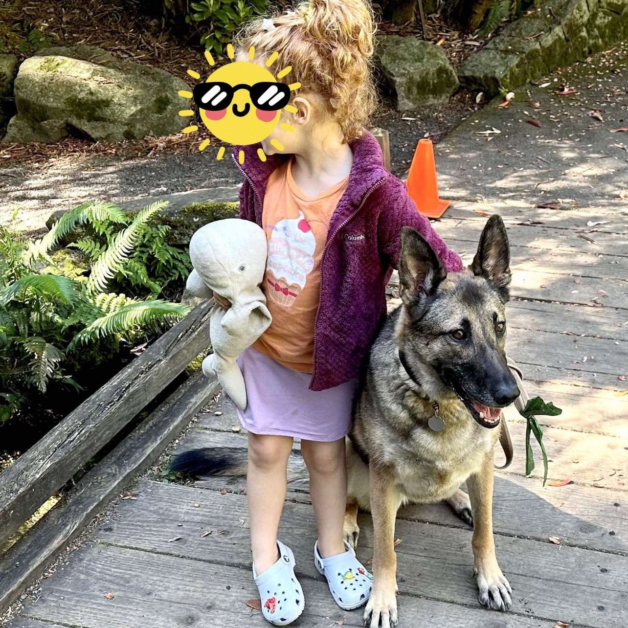 Enlarge Sable, an adopted mixed breed in Saint Helens, OR image 3/6