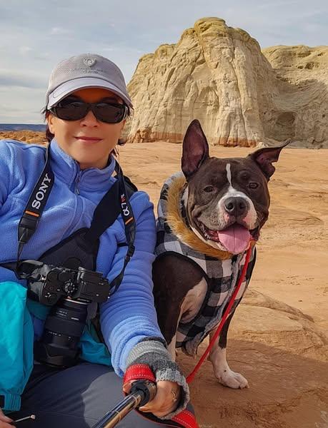 Enlarge Ferrari, a Adoptable Pit Bull Terrier in Portage, WI image 5/5