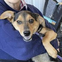 Lucky WV — thumbnail 2