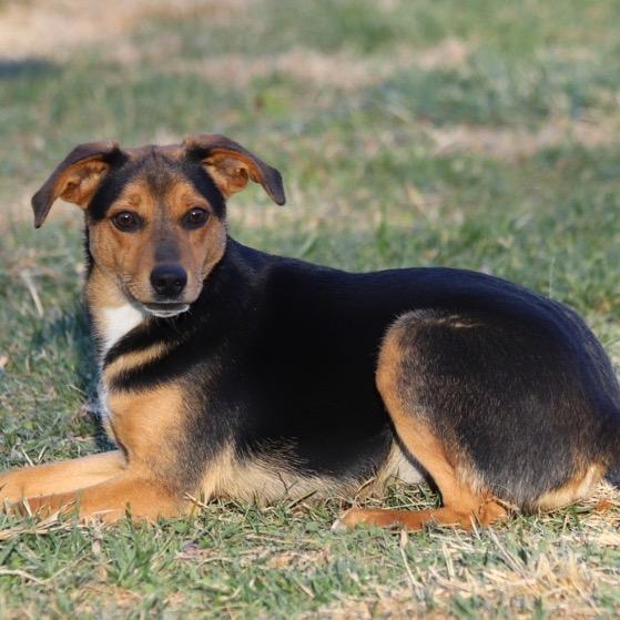 Lucky WV — thumbnail 3