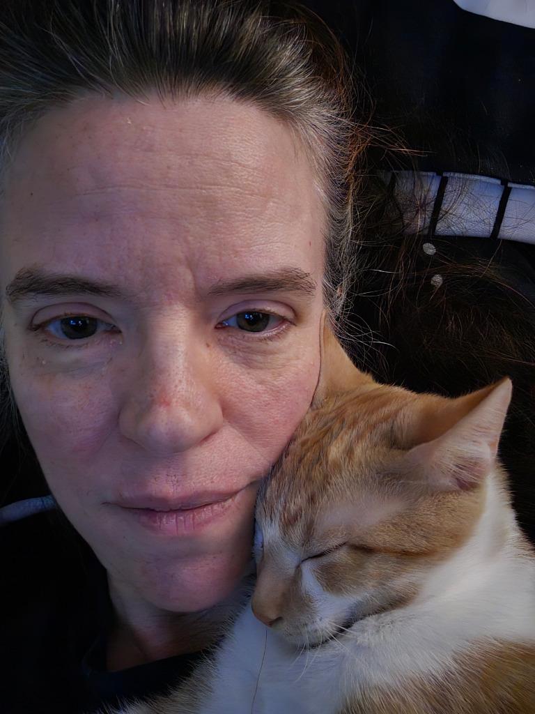 Enlarge Haymitch Abernathy, a Adoptable mixed breed in Parkville, MD image 6/6