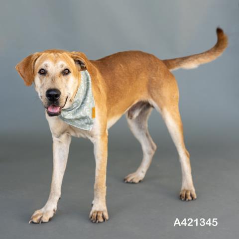 EZRA — thumbnail 2