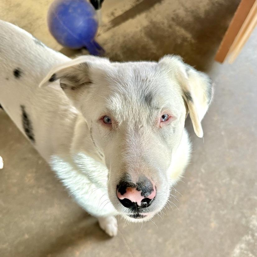 Kansas — thumbnail 2