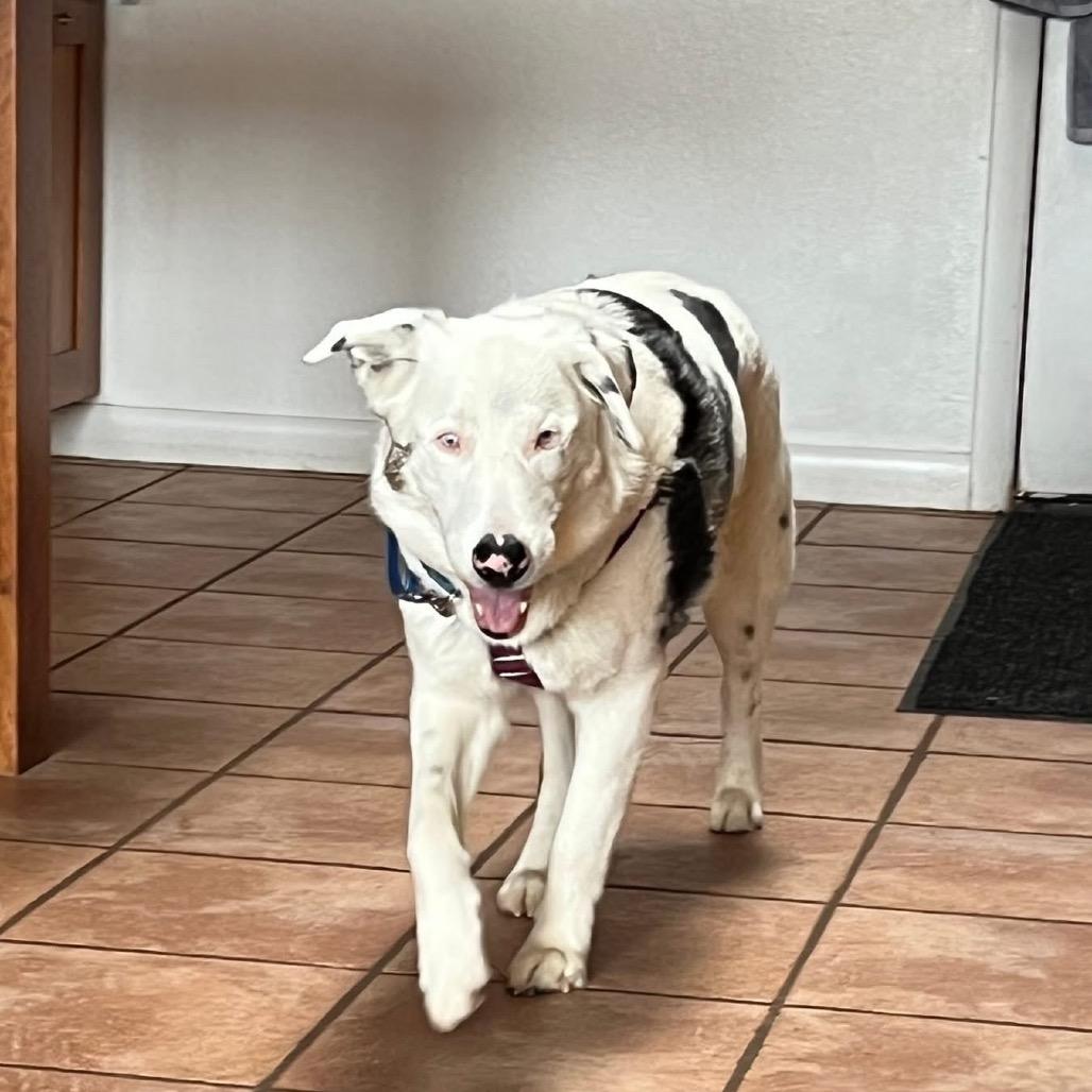 Kansas — thumbnail 3