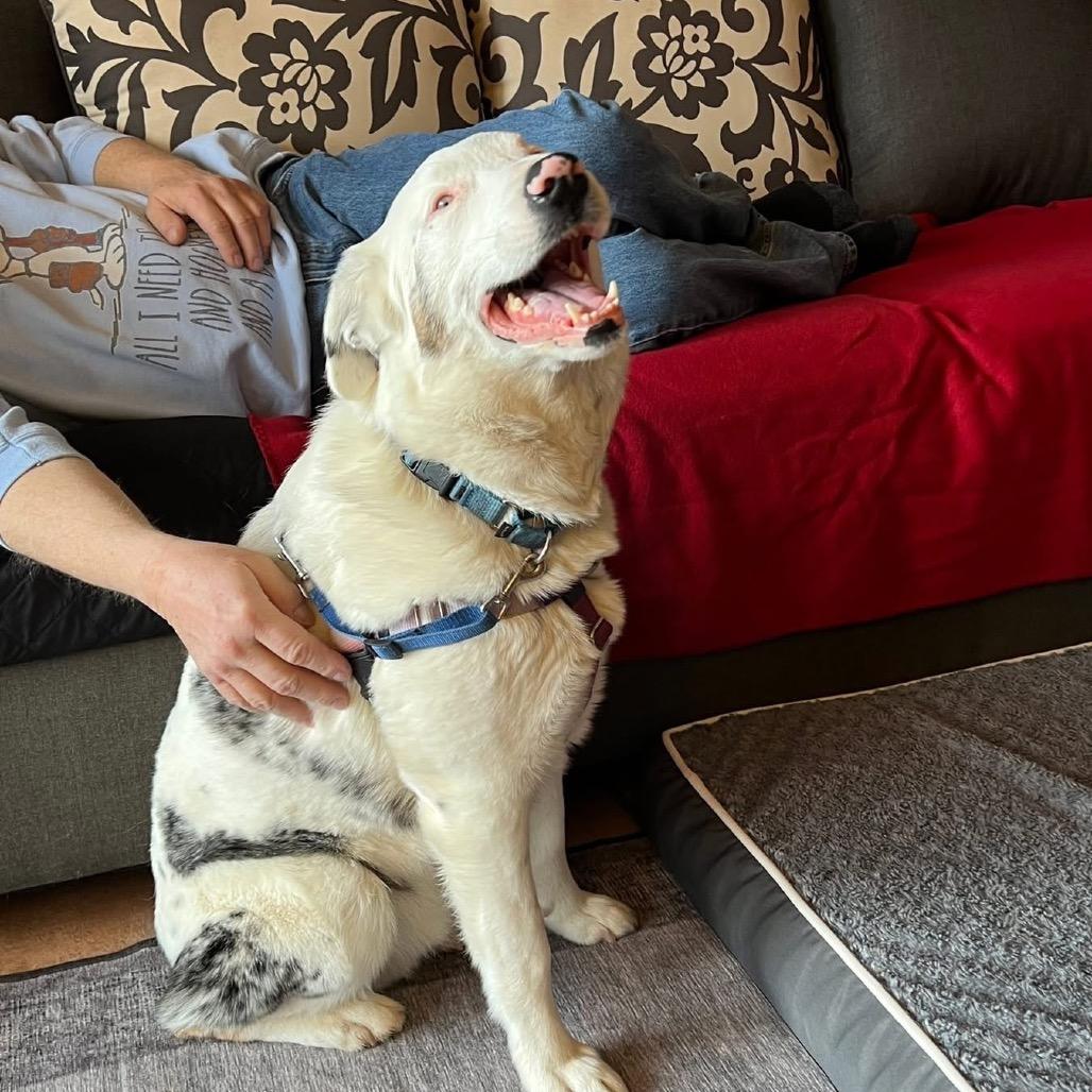 Kansas — thumbnail 4