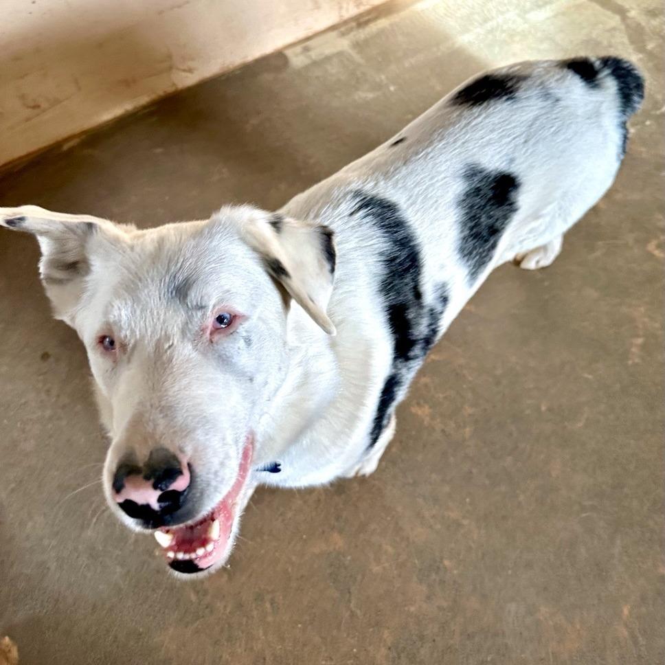 Kansas — thumbnail 5