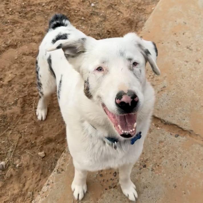 Kansas — thumbnail 6