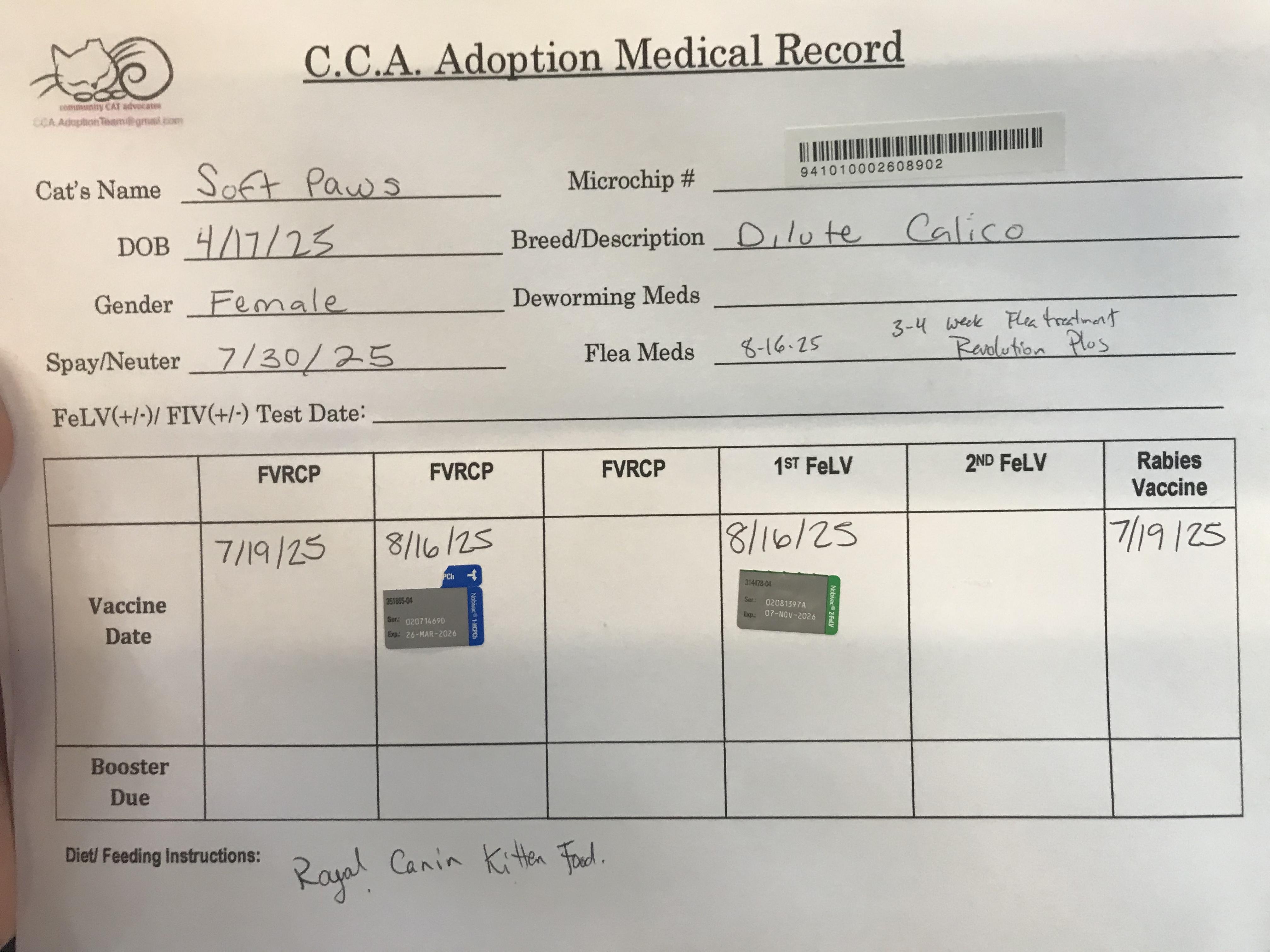 JellyBean — thumbnail 3