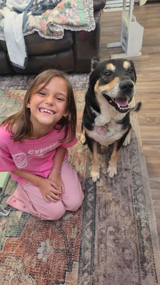 Enlarge Mako, a Adoptable mixed breed in Lakeland, FL image 3/6