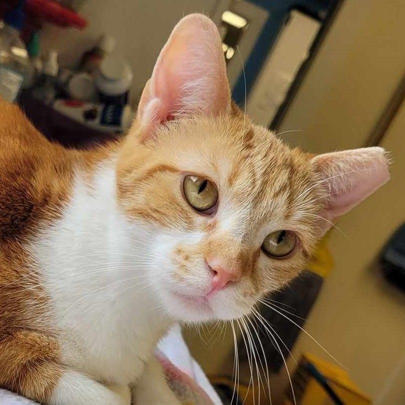 Kinsley — thumbnail 2