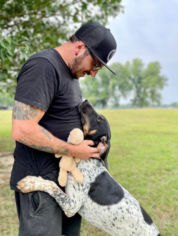Tipton, Adopted, Puppy Male Bluetick Coonhound.