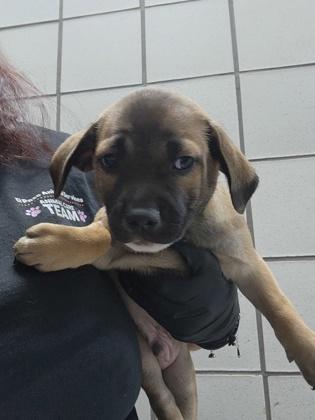 59991193 thumbnail 2