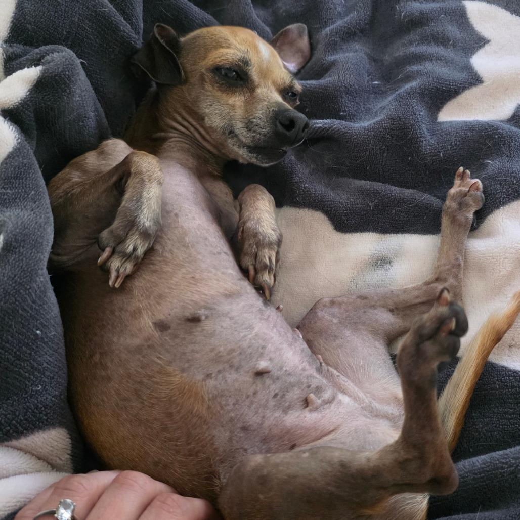 Bean — thumbnail 4