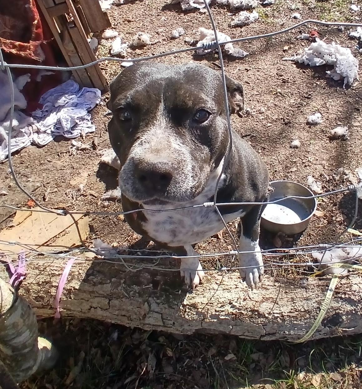 Caramel — thumbnail 6