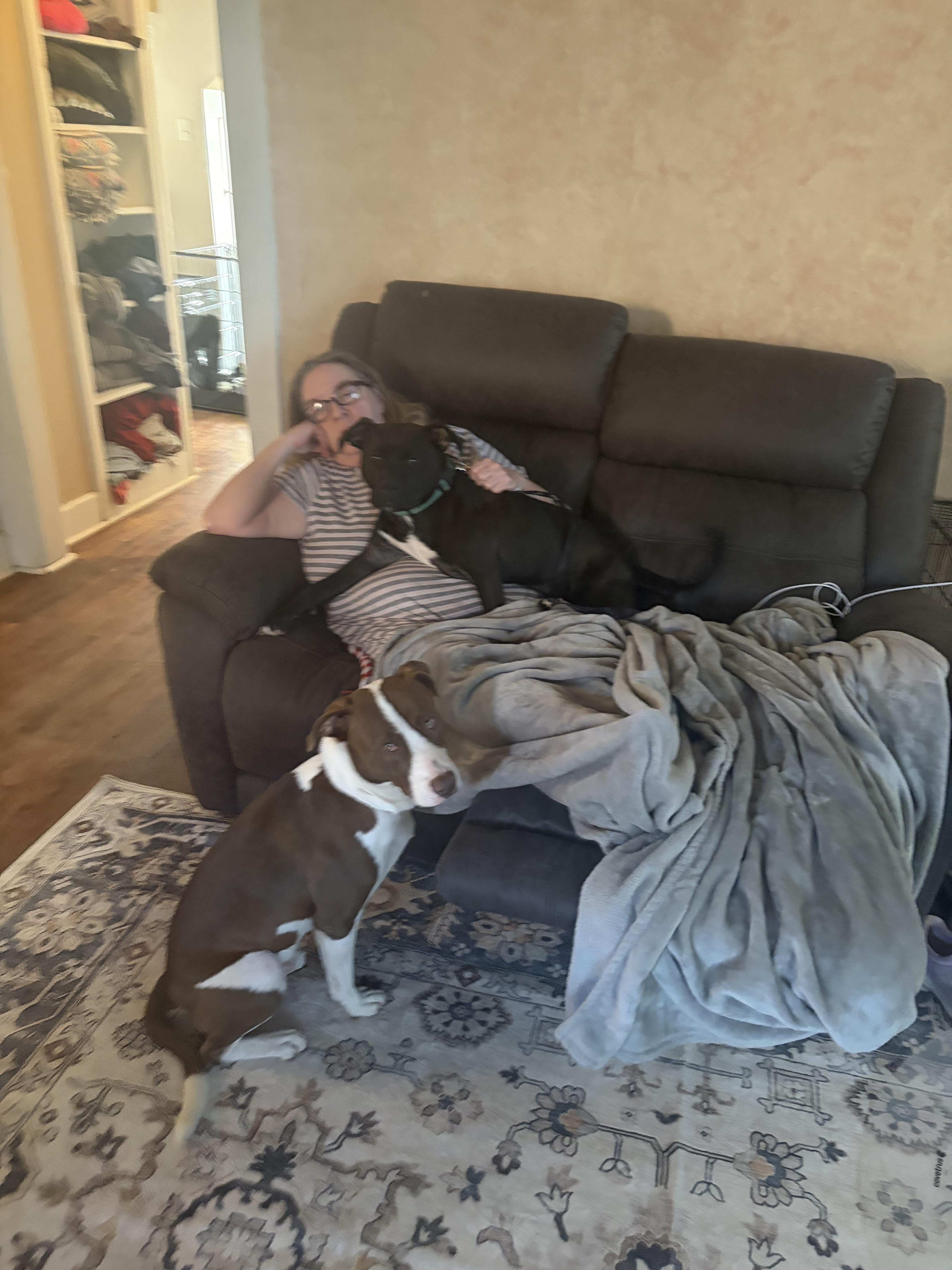 Cocoa, the Cuddler — thumbnail 5