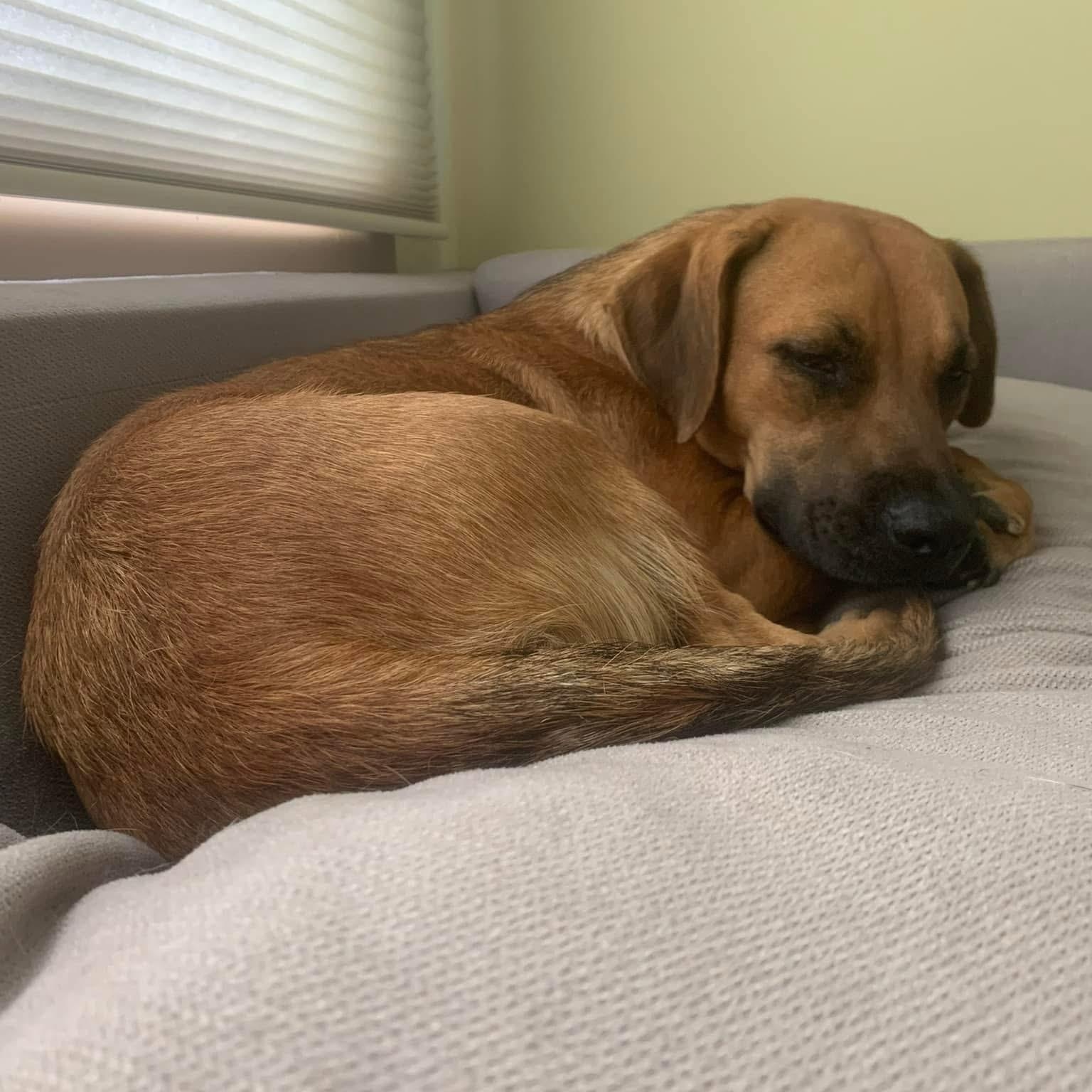 Penny photo 3