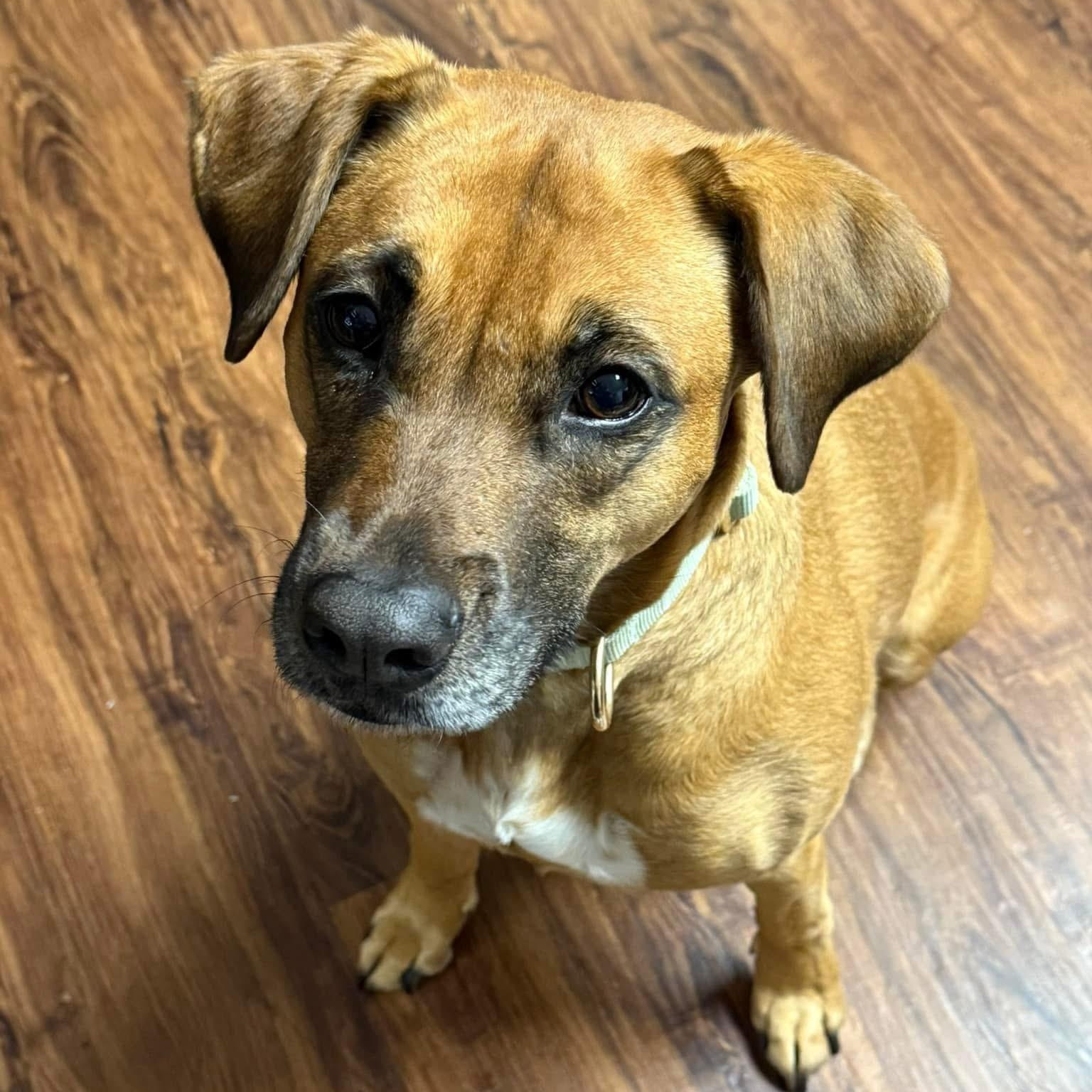 Penny