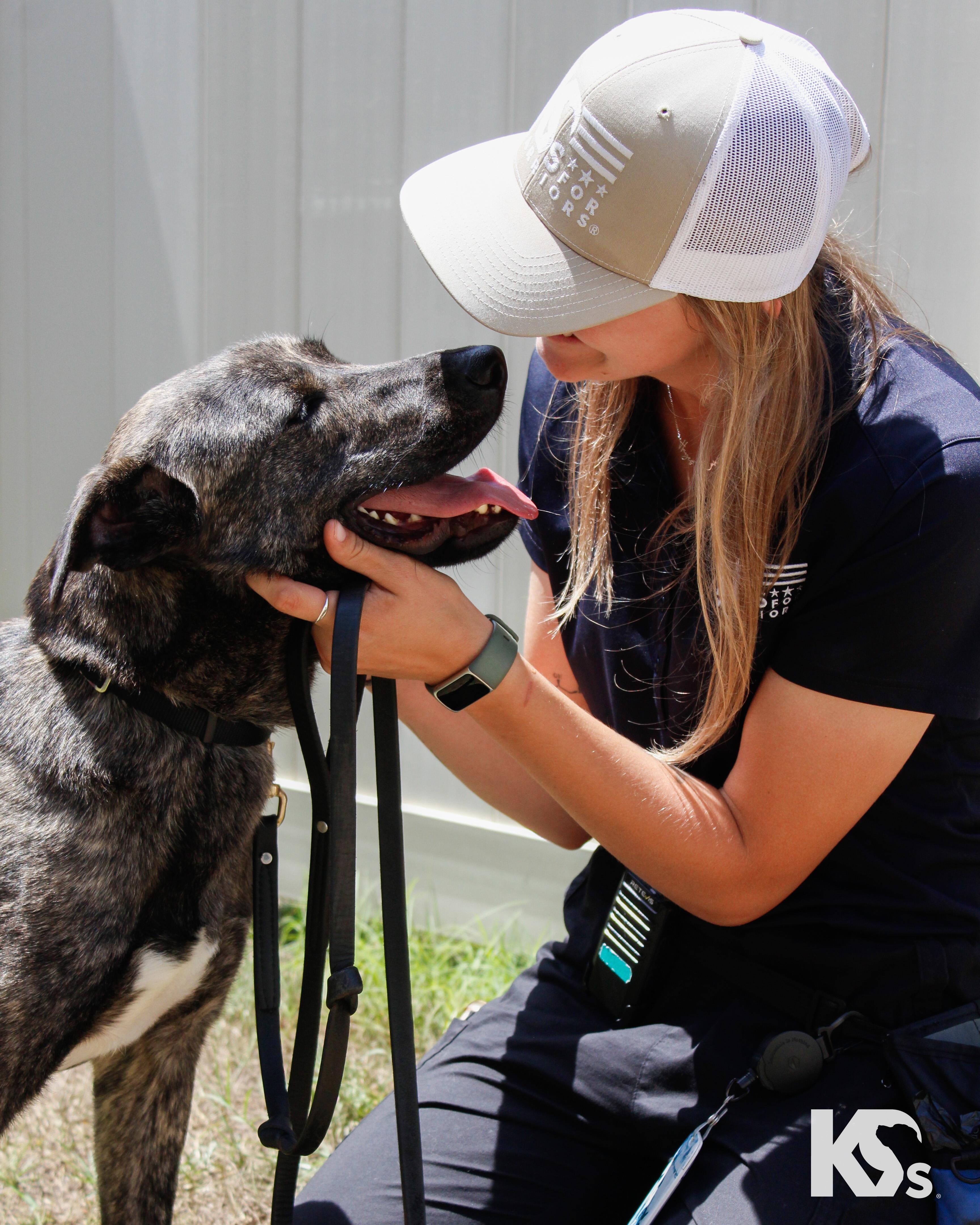 Bourbon, a ADOPTABLE mixed breed in Ponte Vedra, FL image 6/6