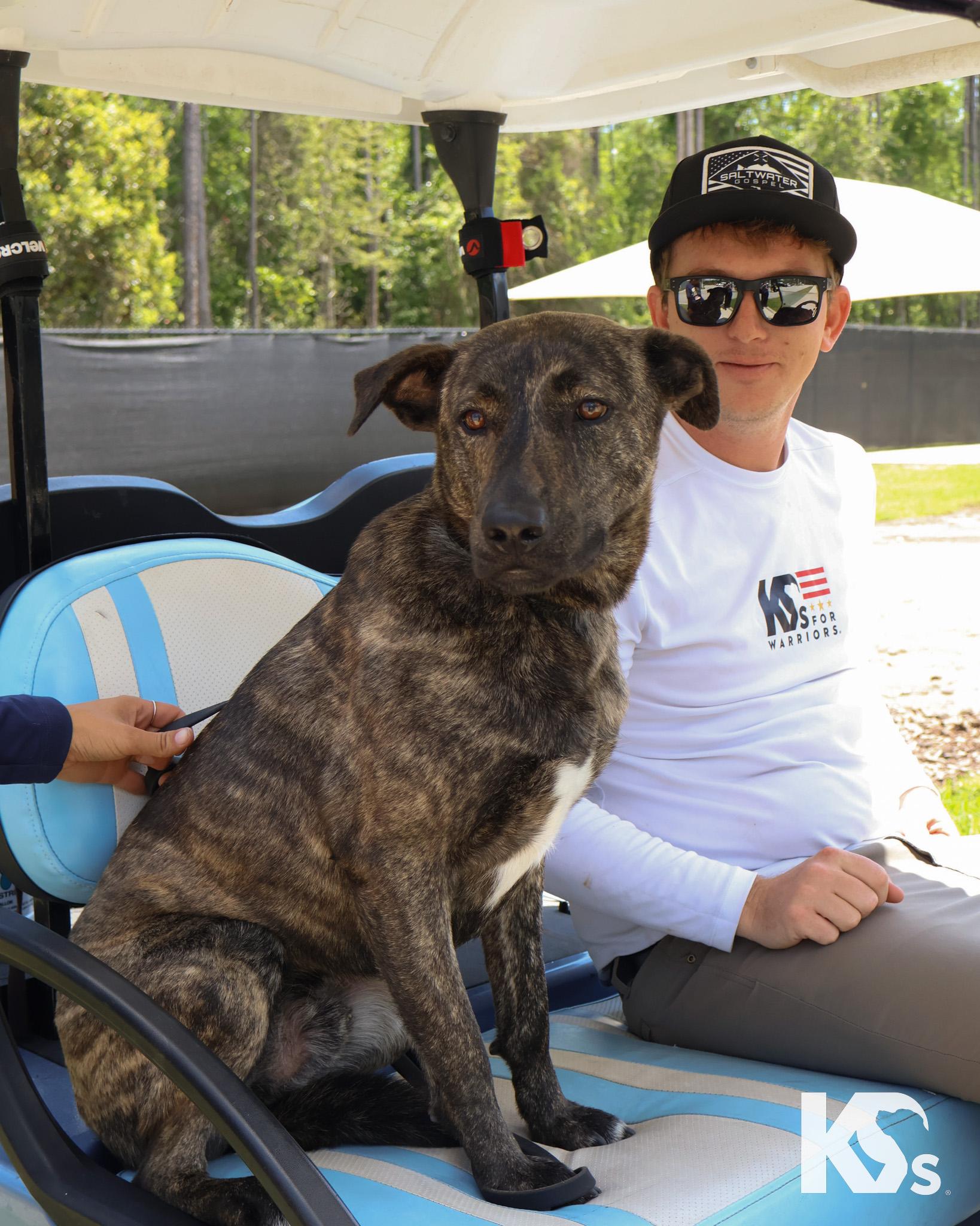 Bourbon, a ADOPTABLE mixed breed in Ponte Vedra, FL image 5/6