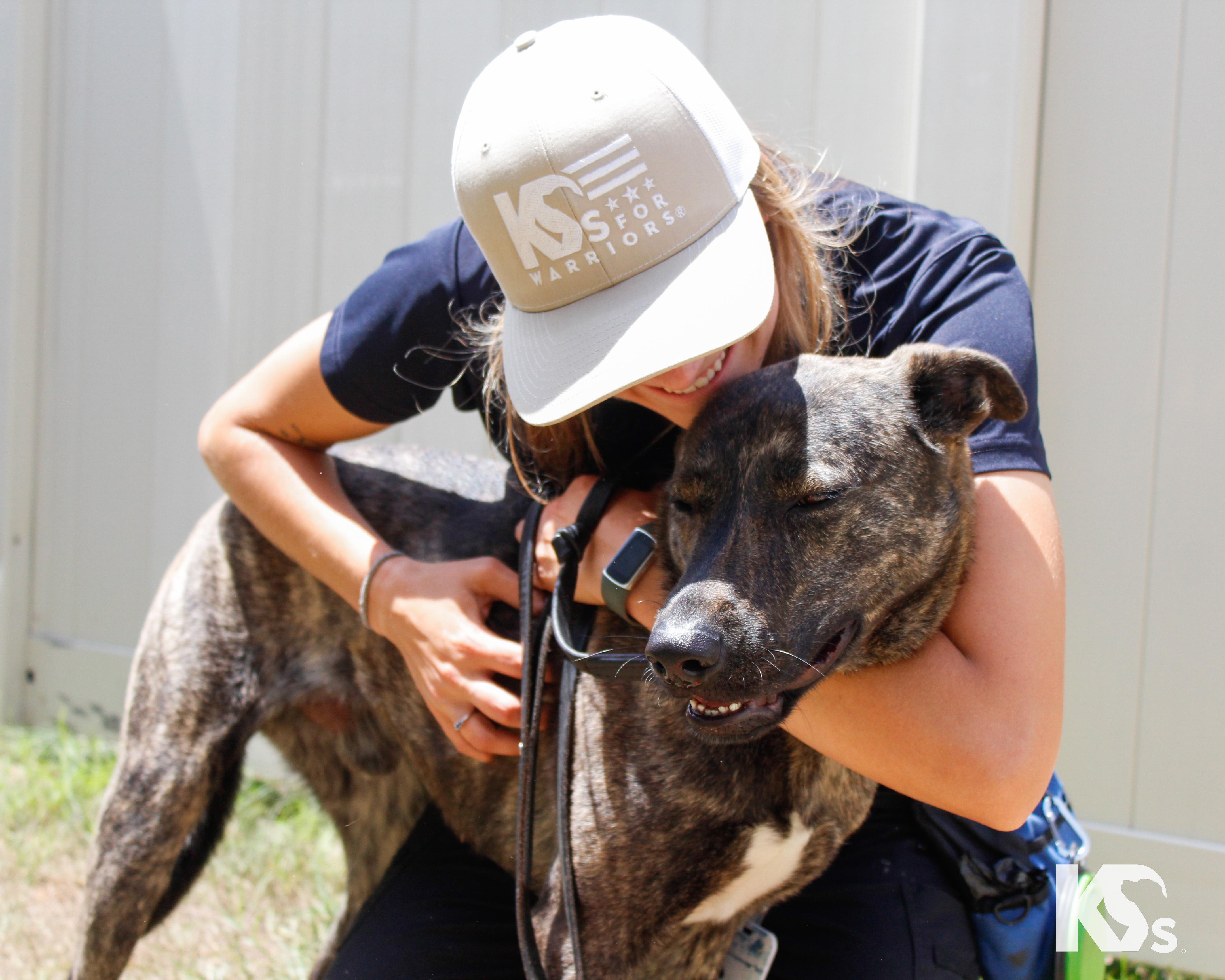 Bourbon, a ADOPTABLE mixed breed in Ponte Vedra, FL image 2/6