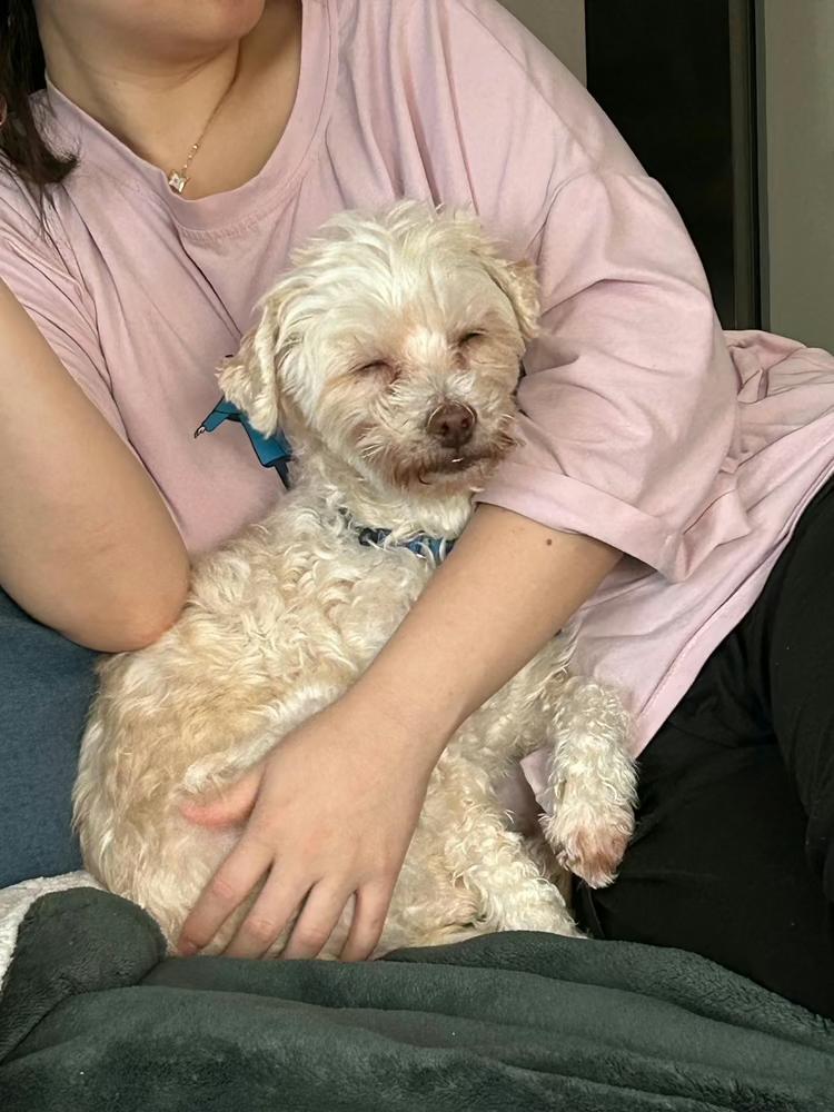 Marshmallow thumbnail 3