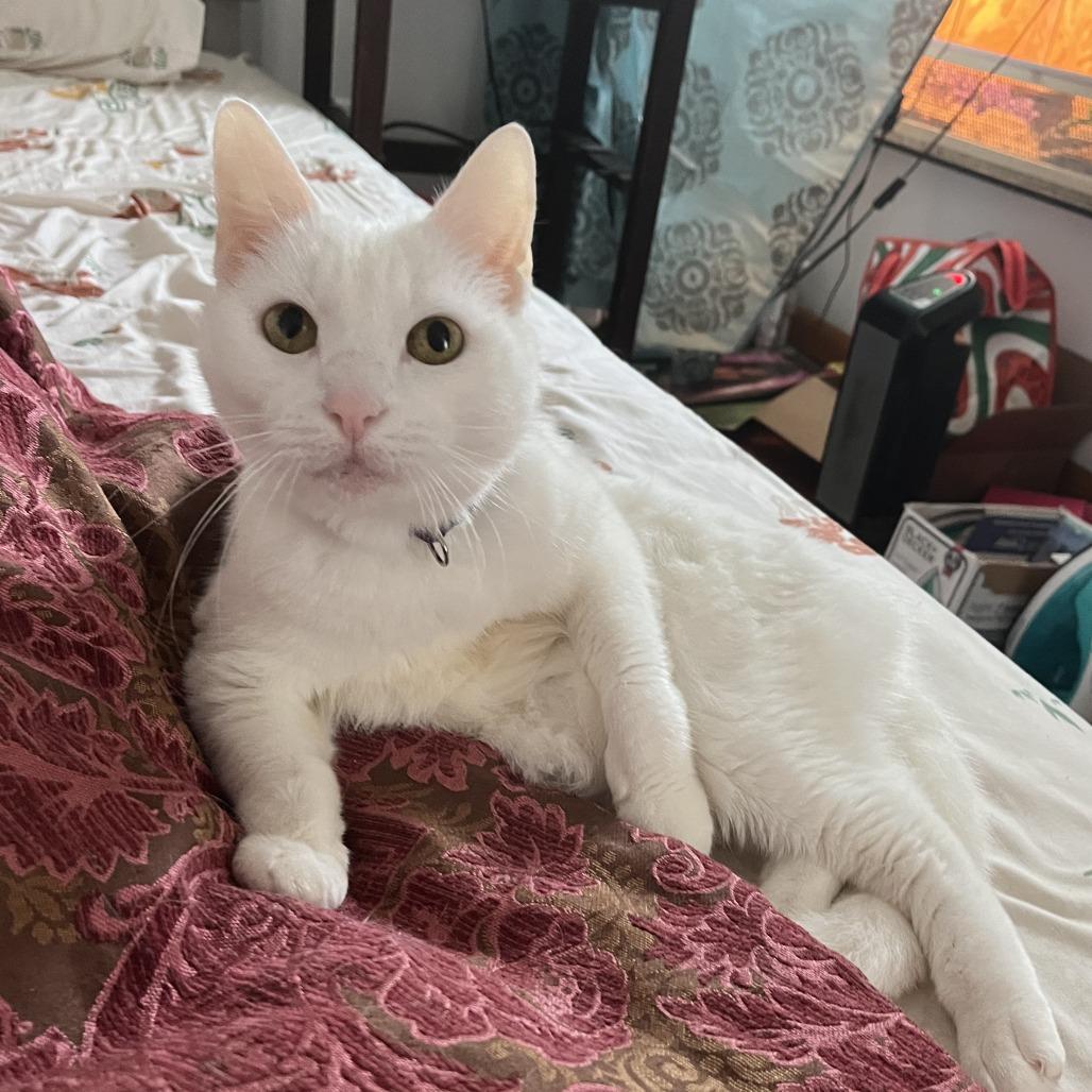 Missy Elliot — thumbnail 3