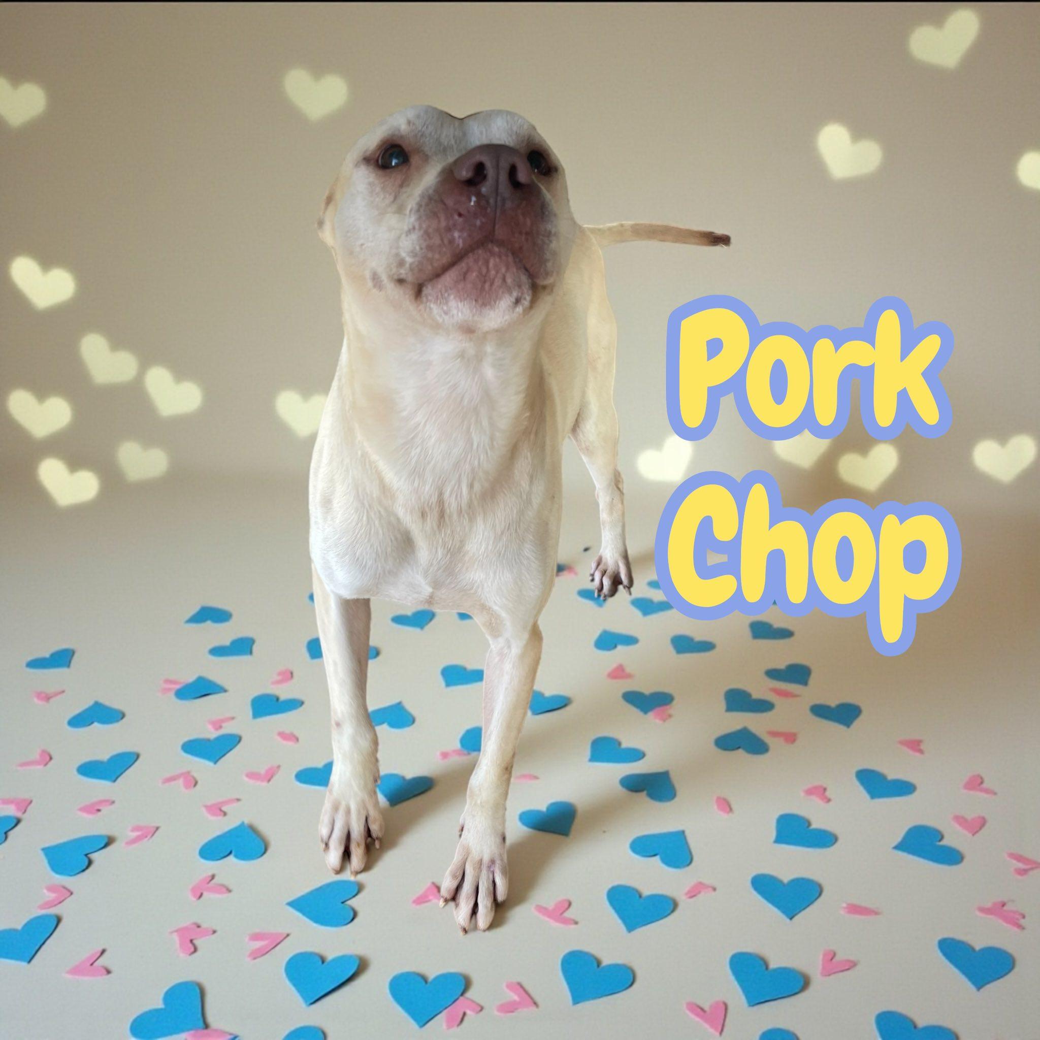 Pork Chop