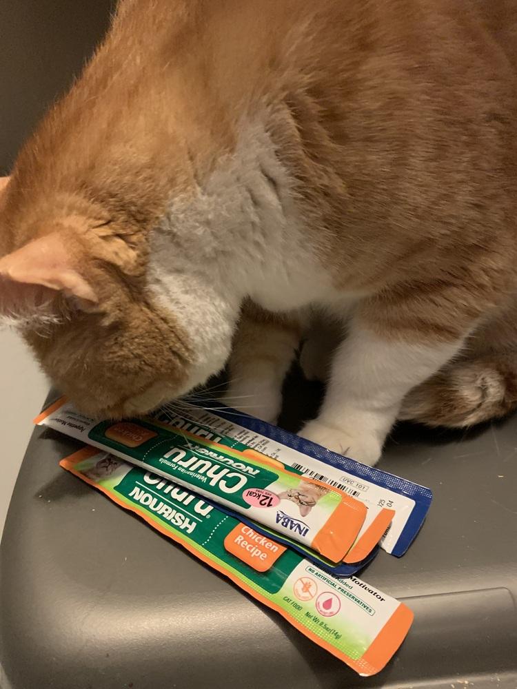 Bones — thumbnail 4