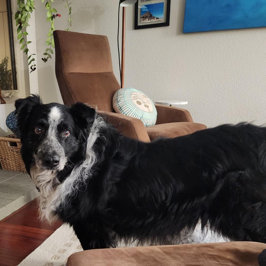 Abner — thumbnail 2