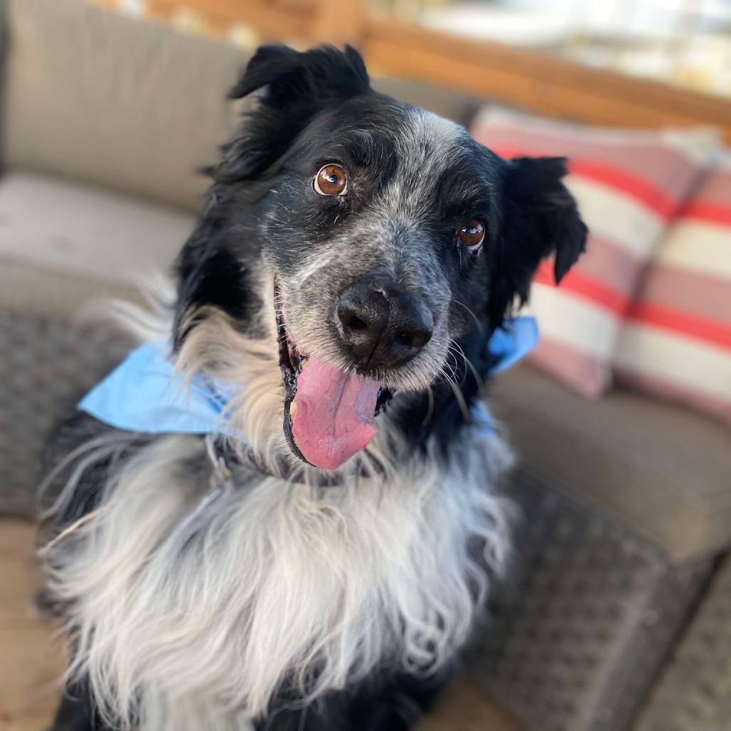 Abner — thumbnail 4