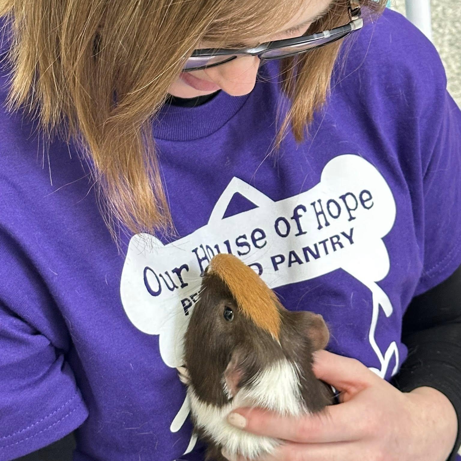 Enlarge Happy & Gilmore, a Adoptable Guinea Pig in Libertyville, IL image 5/5
