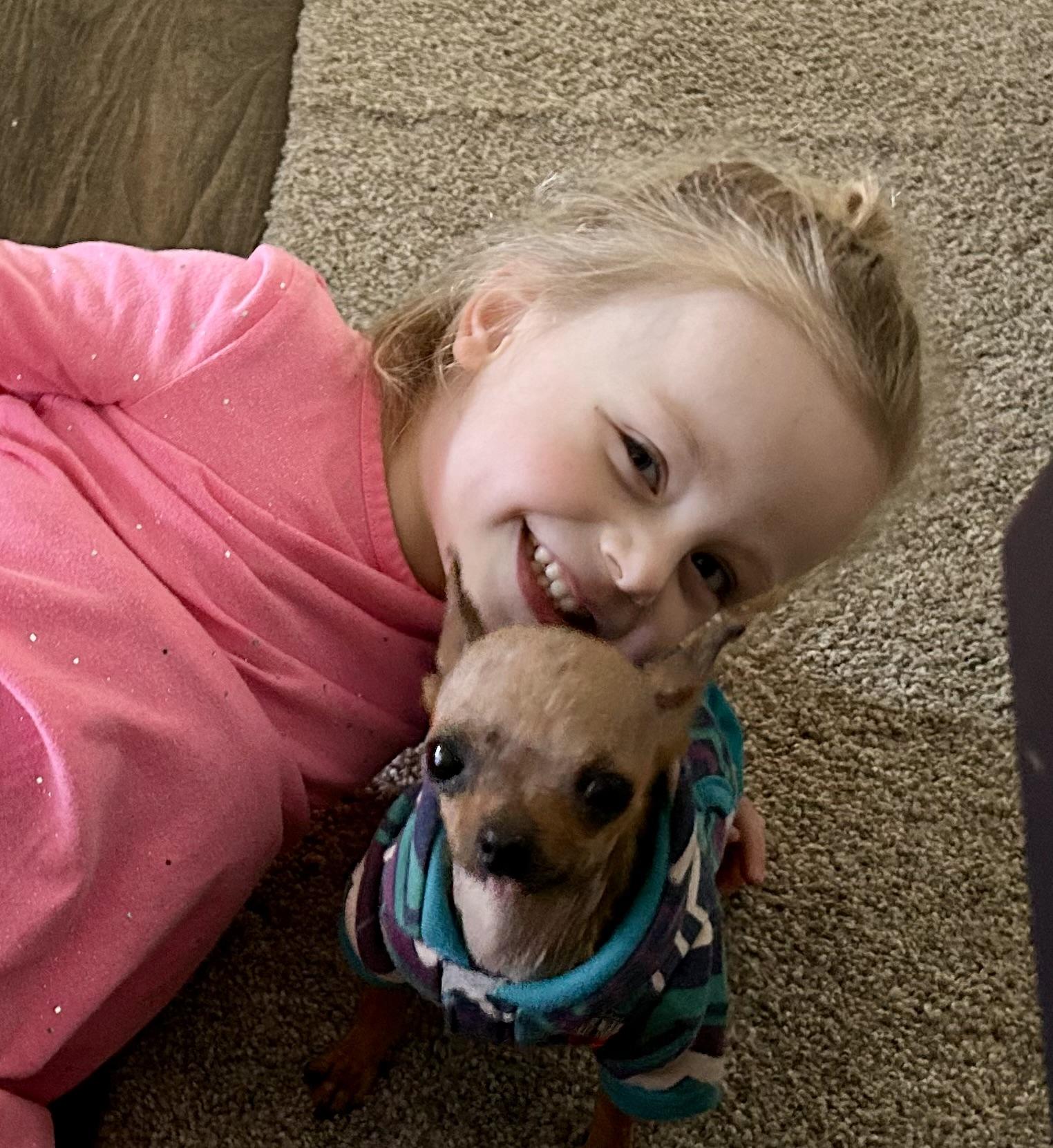 Enlarge Petey, a ADOPTABLE Chihuahua in Ontario, NY image 4/4