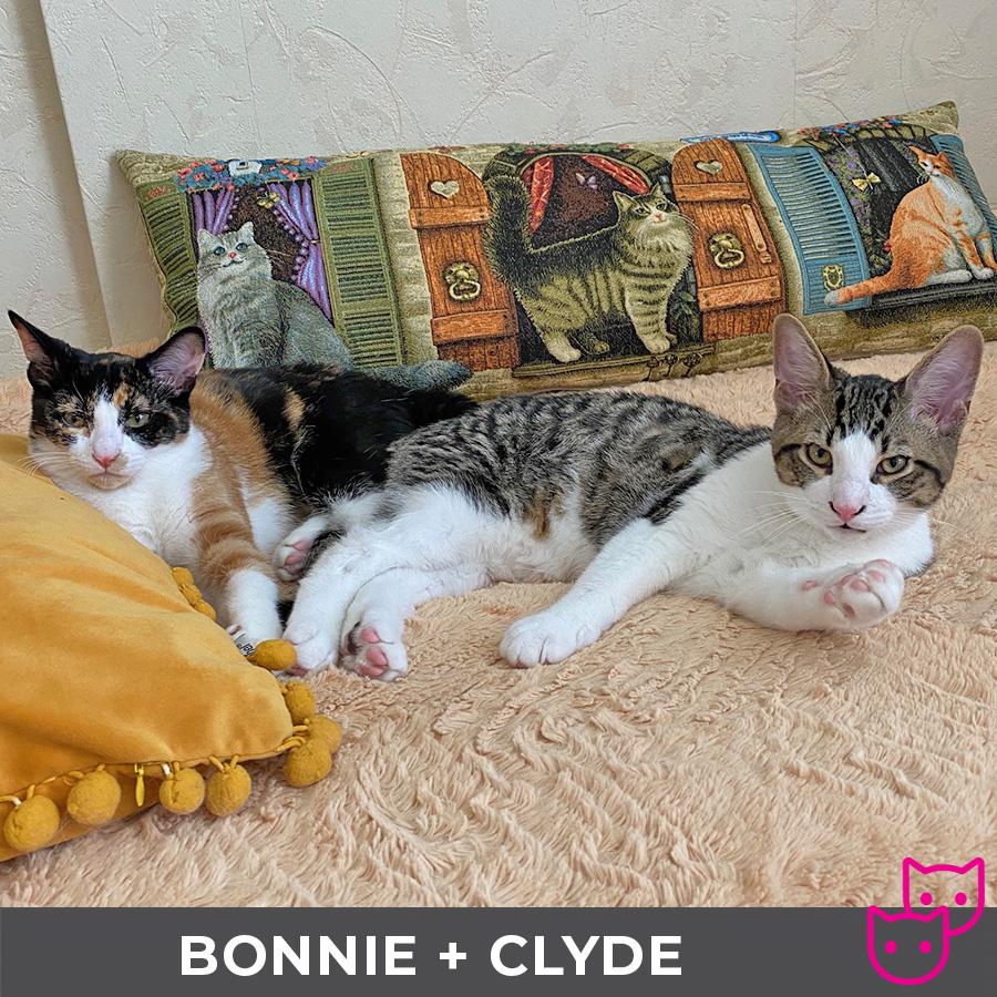 Bonnie (bonded with Clyde)