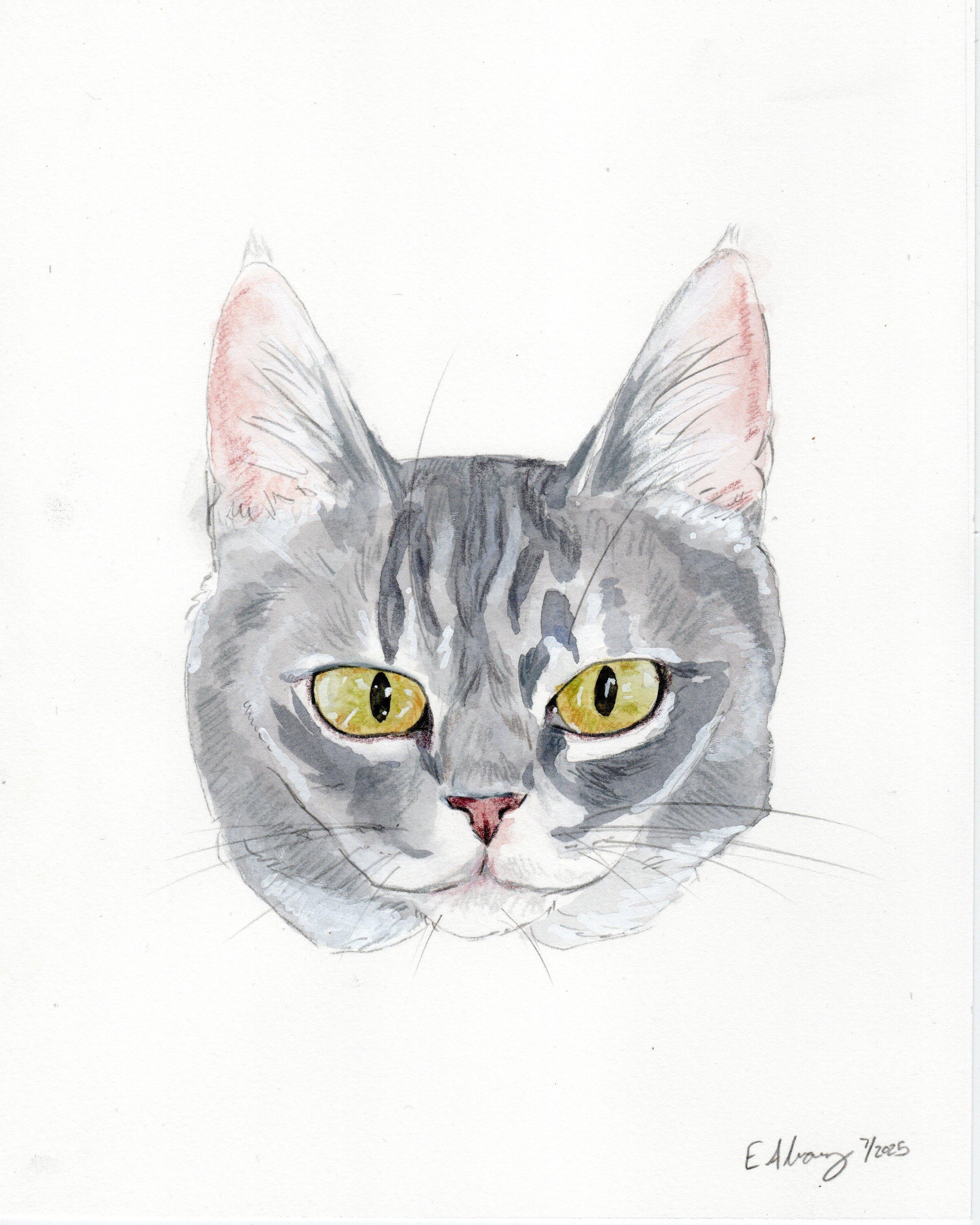 Bonnie Jo, a Adoptable Domestic Short Hair in Lemoyne, PA image 1/5