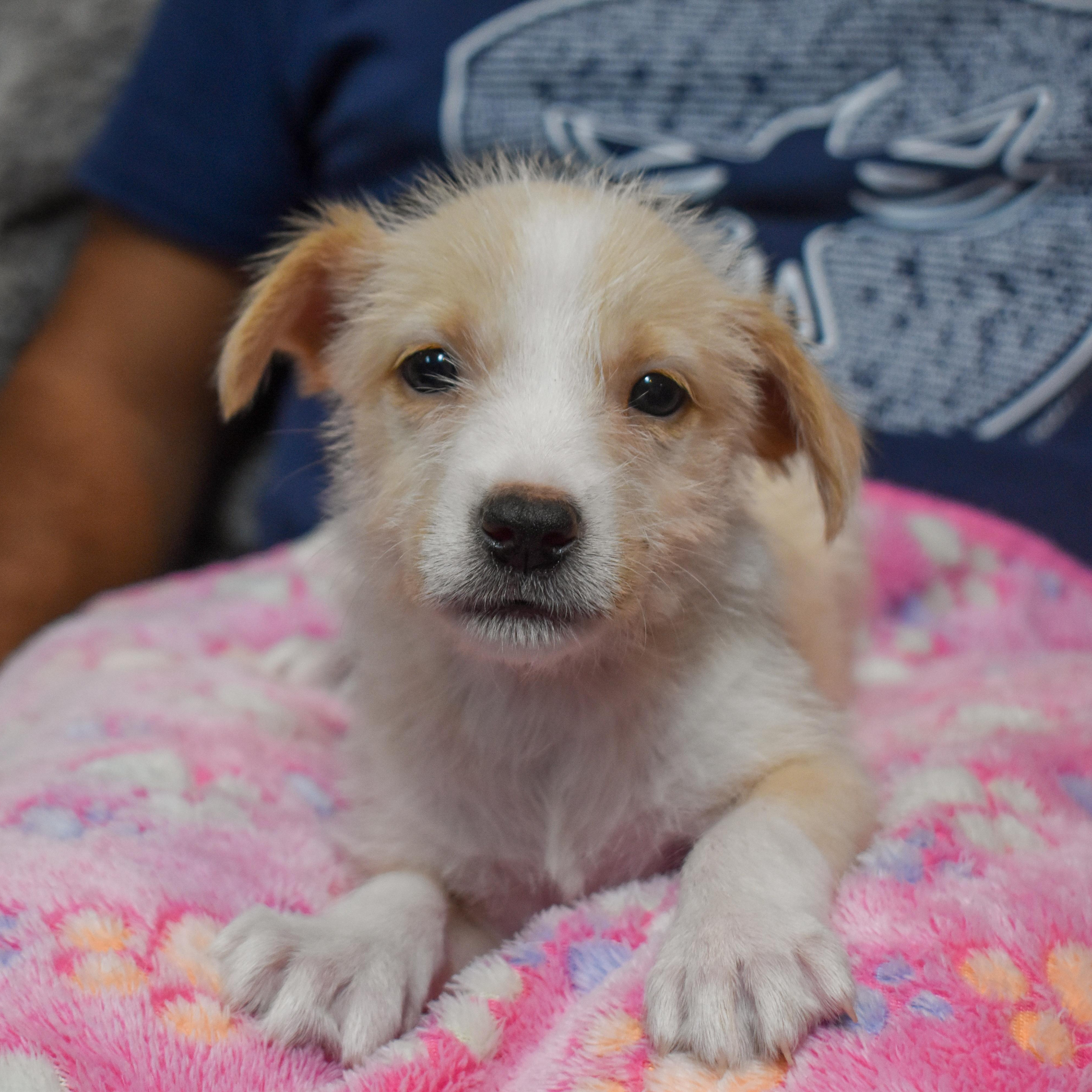 Barbie — thumbnail 4