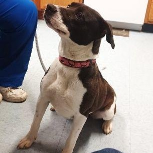 Nova, Young Female unknown