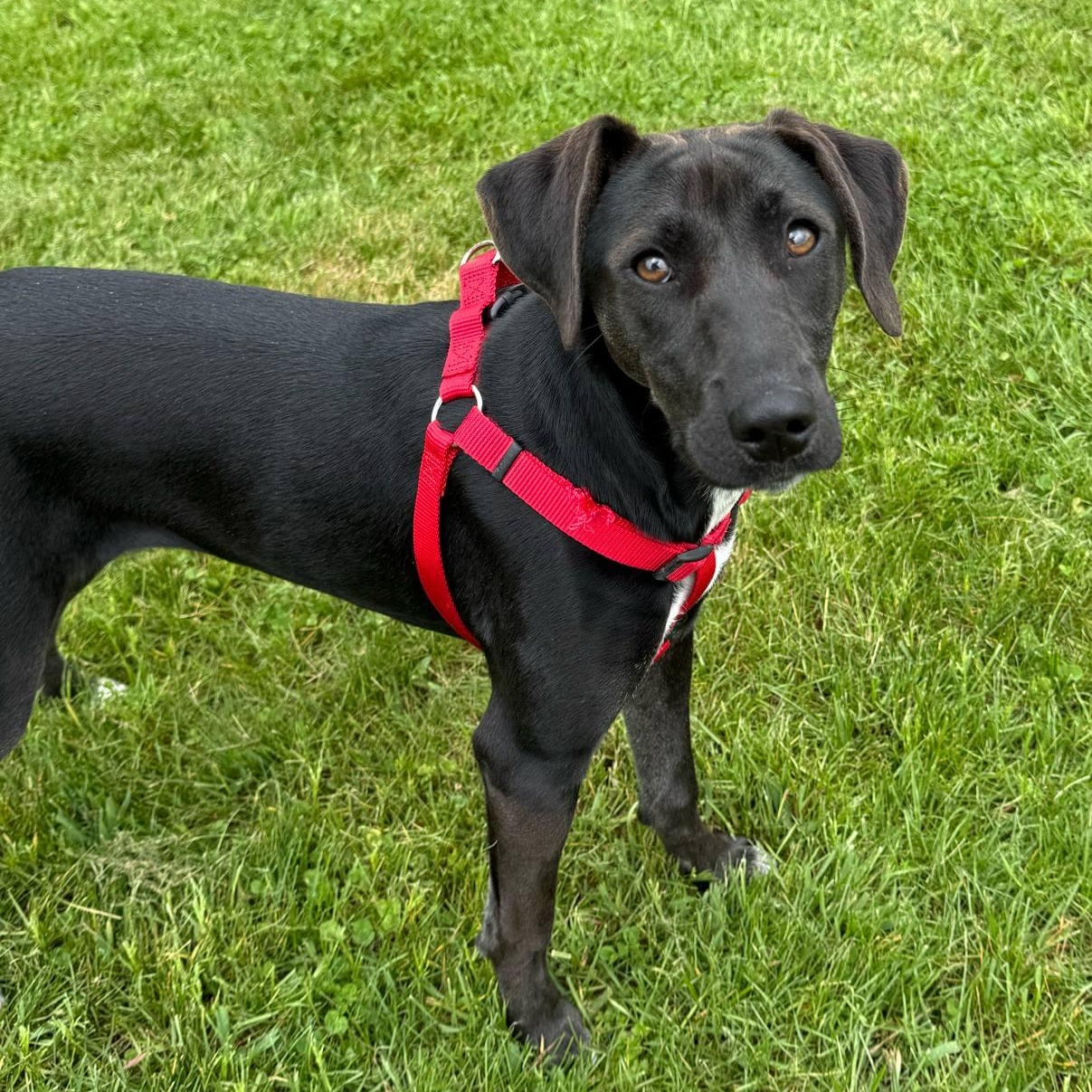 Kenzie - In Foster