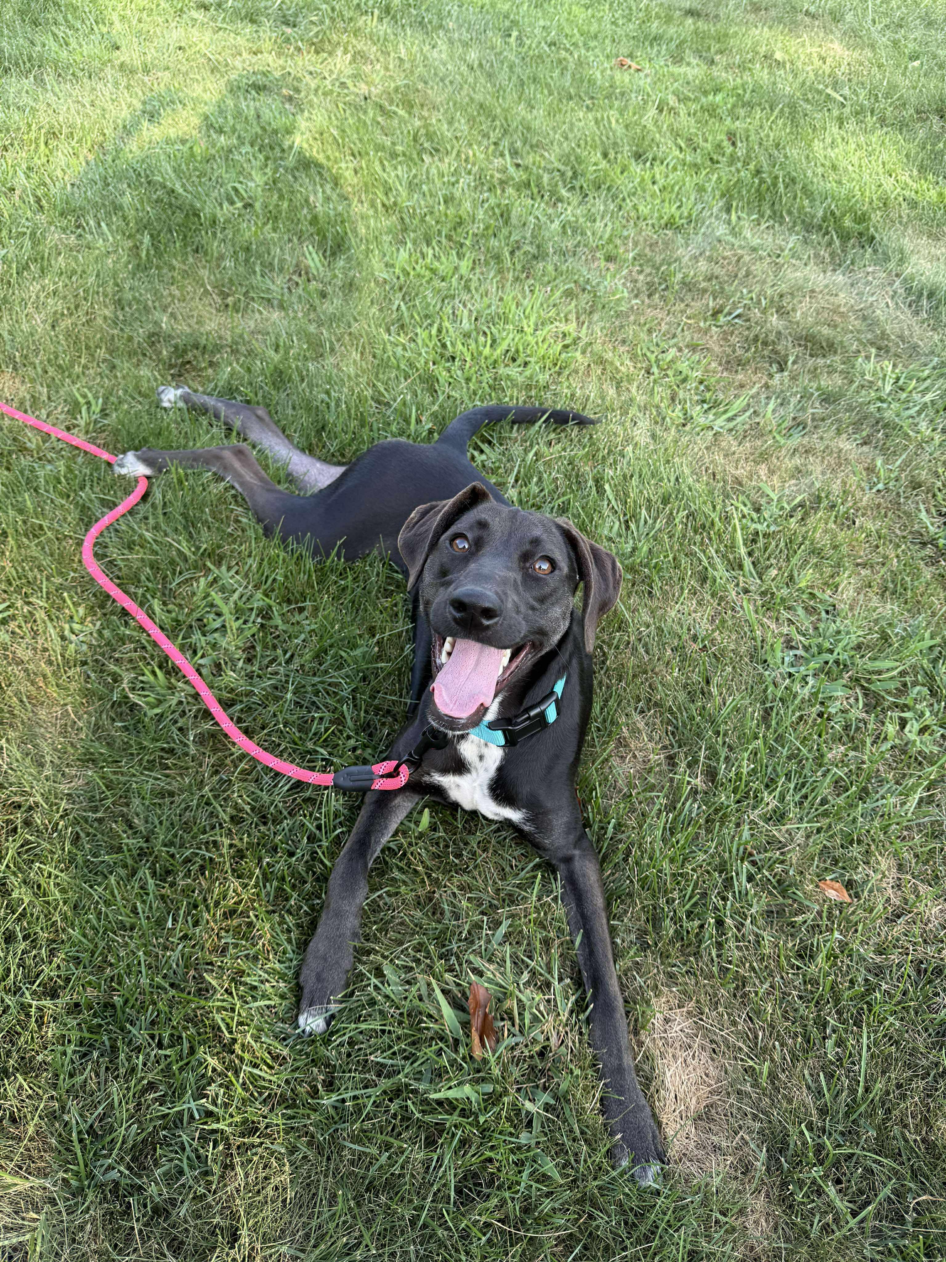 Kenzie - In Foster