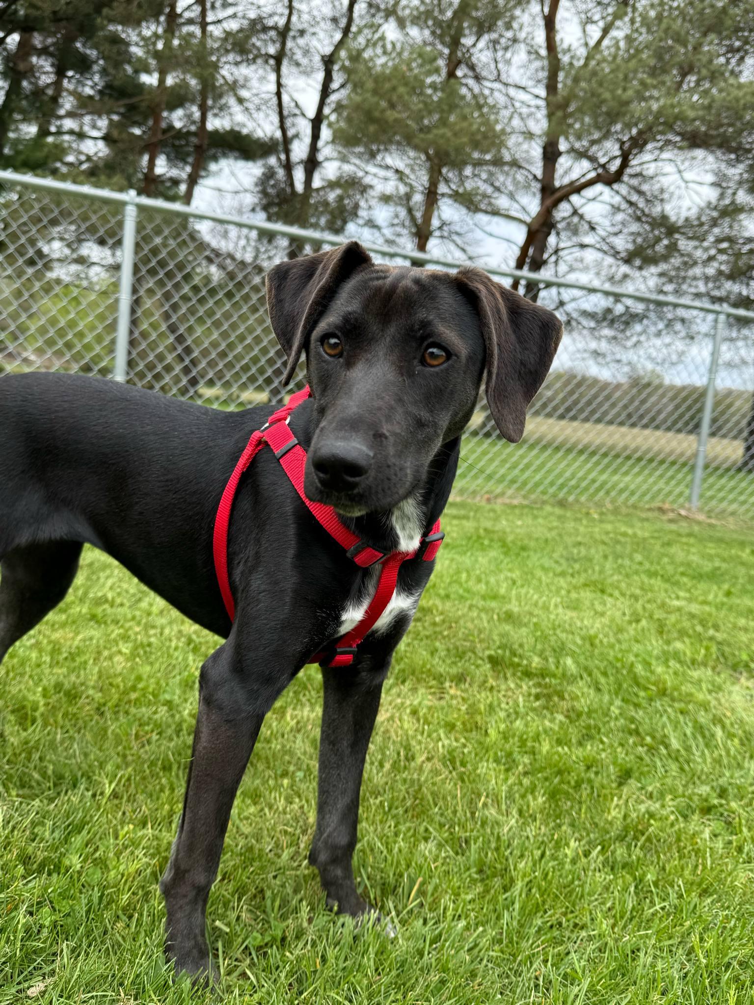 Kenzie - In Foster photo 6