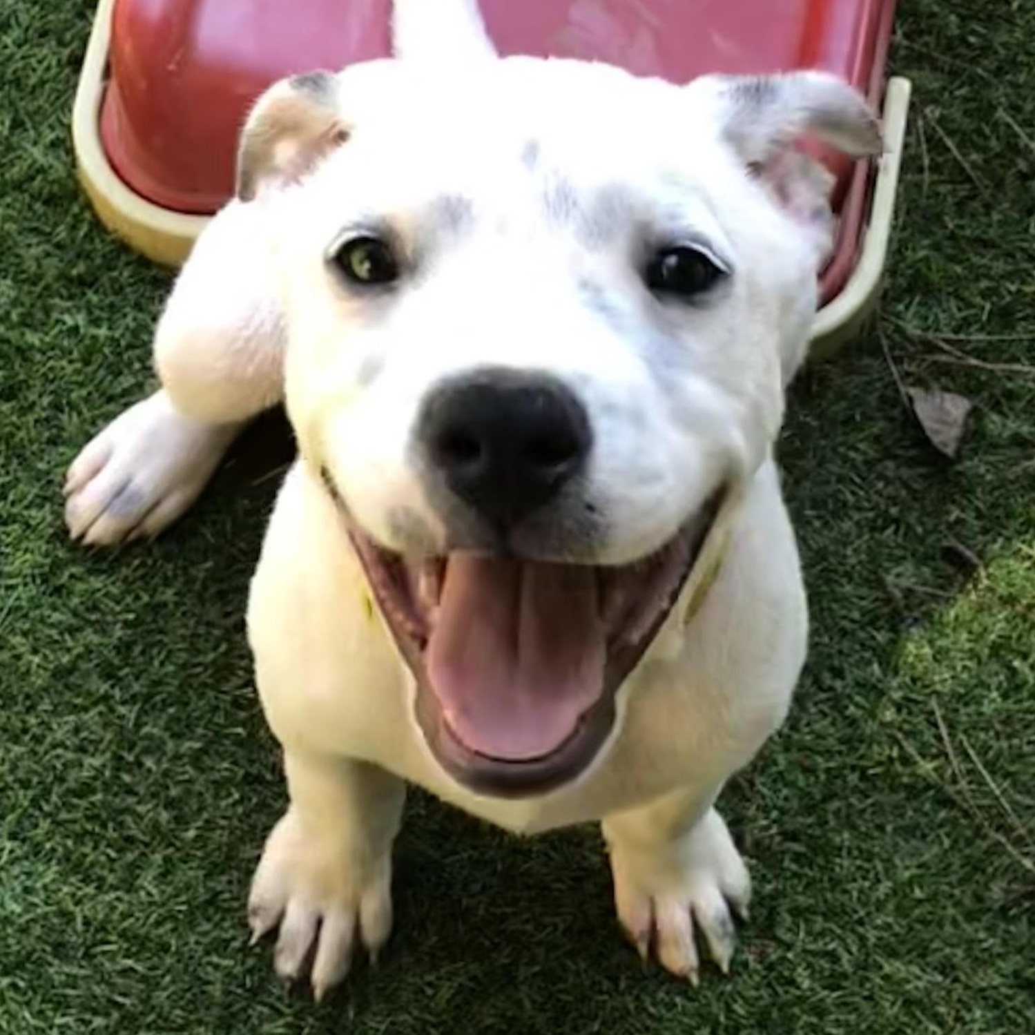 aa Charlie - Available Saturday 9/13 at offsite event **please read bio for info