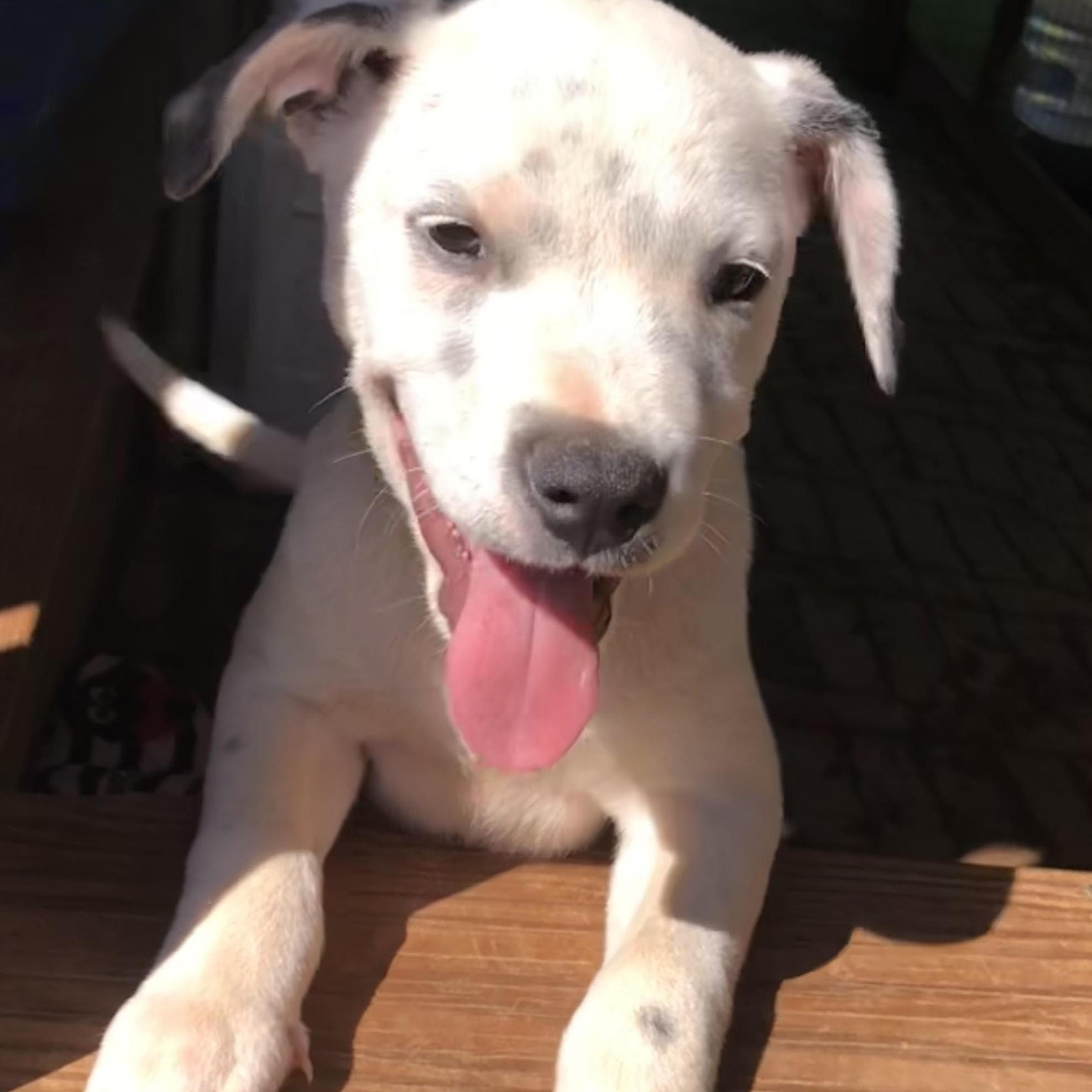 aa Charlie - Available Saturday 9/13 at offsite event **please read bio for info